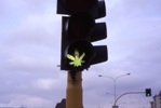 save the green planet!