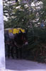 Postal service, Ginostra (Stromboli), Sicily