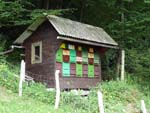 beehives
