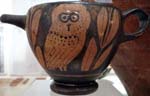 owl