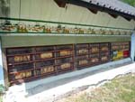 beehives