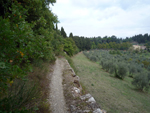 South Firenze
