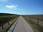 Maremma, the street