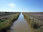 channel in Maremma