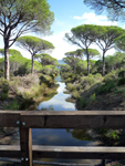 Parco della Maremma
