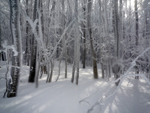 Monte Acuto, top in winter