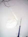 rolled snow of Falterona