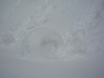 rolled snow of Falterona