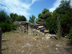 the maquis, Agriates, Corse