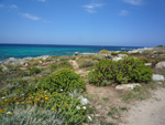 Agriates, Corse