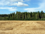 country