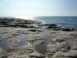 island