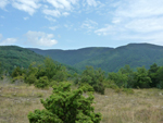 Straccabike