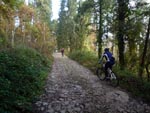 Monte Morello