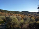 around Pontassieve