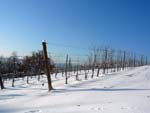 Snow in Pontassieve