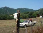 along the ol�d way from Roccapina to Sart�ne